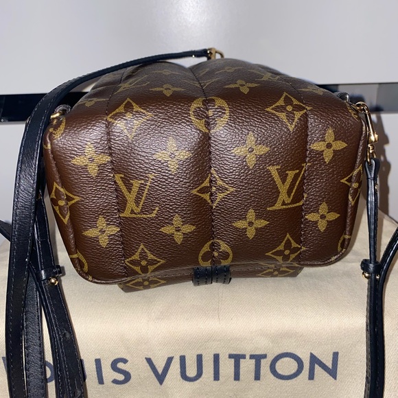 Louis Vuitton Palm Springs Mini - Picture 10 of 13